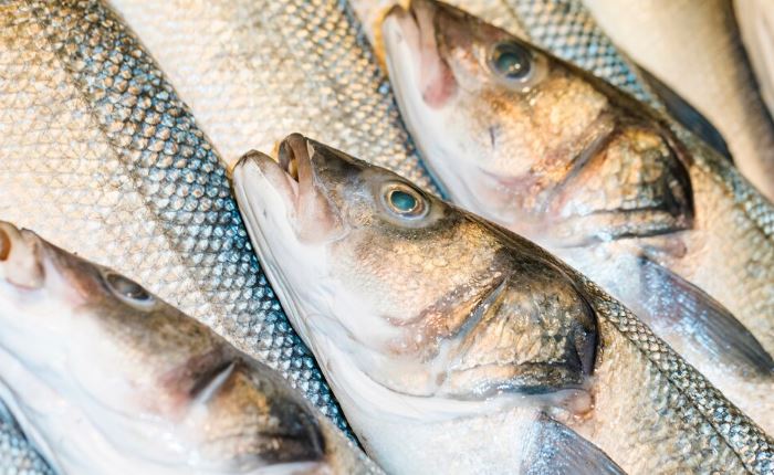 The Journey of Seafood from Ocean to Table