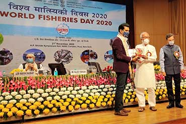 Award of Excellence in Fisheries Sector 2020